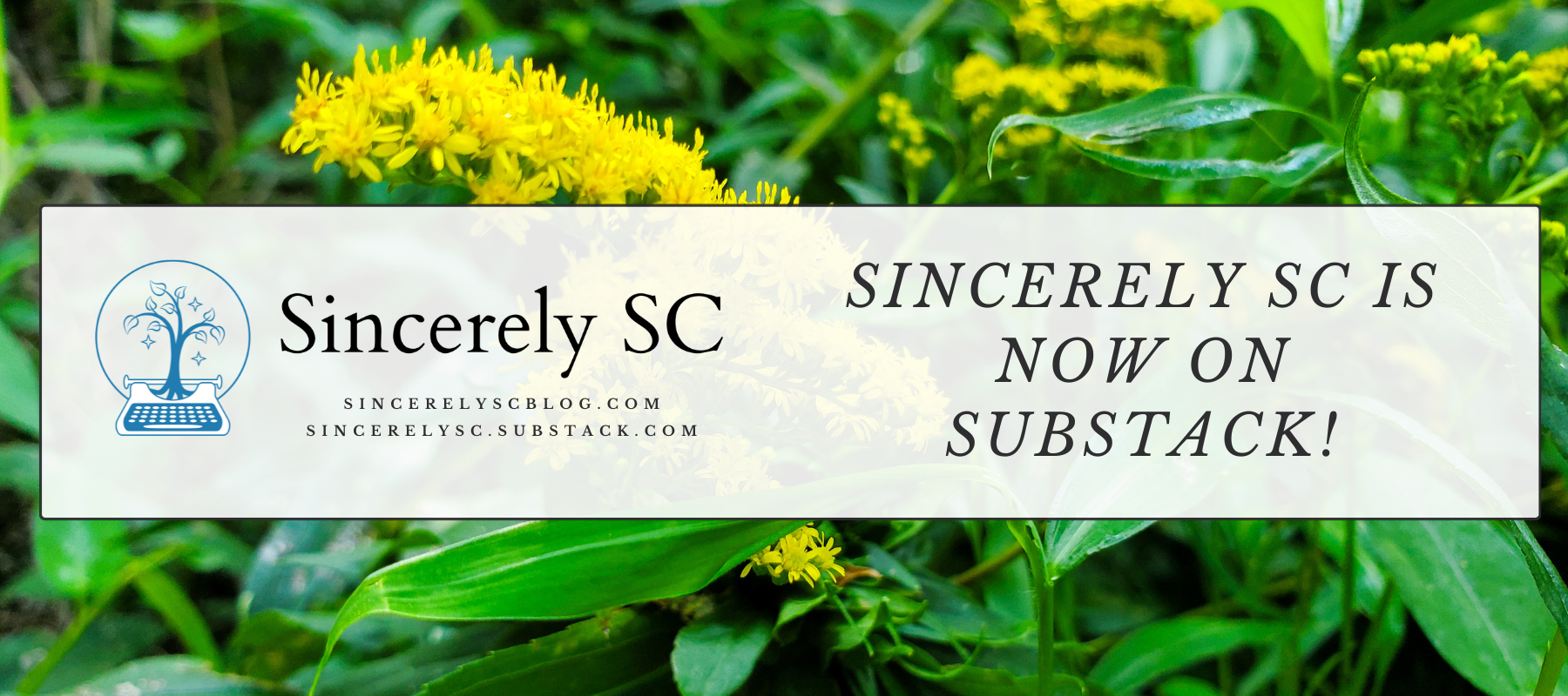 Sincerely SC is Now on Substack! – Sincerely SC
